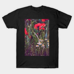 Wild Daisies T-Shirt